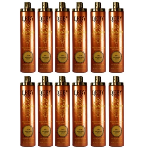 Lot de 12 Lissages Indiens Deby Hair Lisa Indian - 12 x 1L