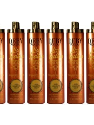Lot de 6 Lissages Indiens Deby Hair Lisa Indian - 6 x 1L